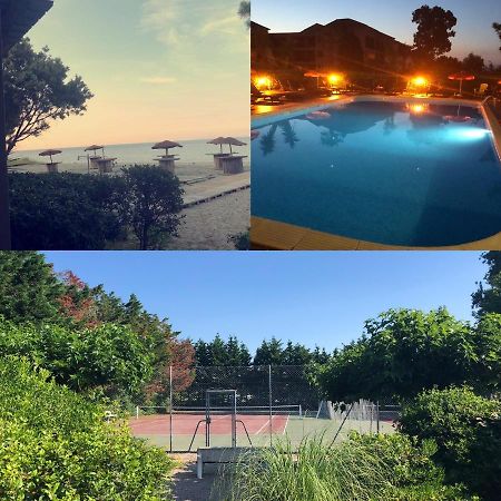 Joli T2 Les Pieds Dans L'Eau , Piscine Tennis.... San-Nicolao Exterior foto